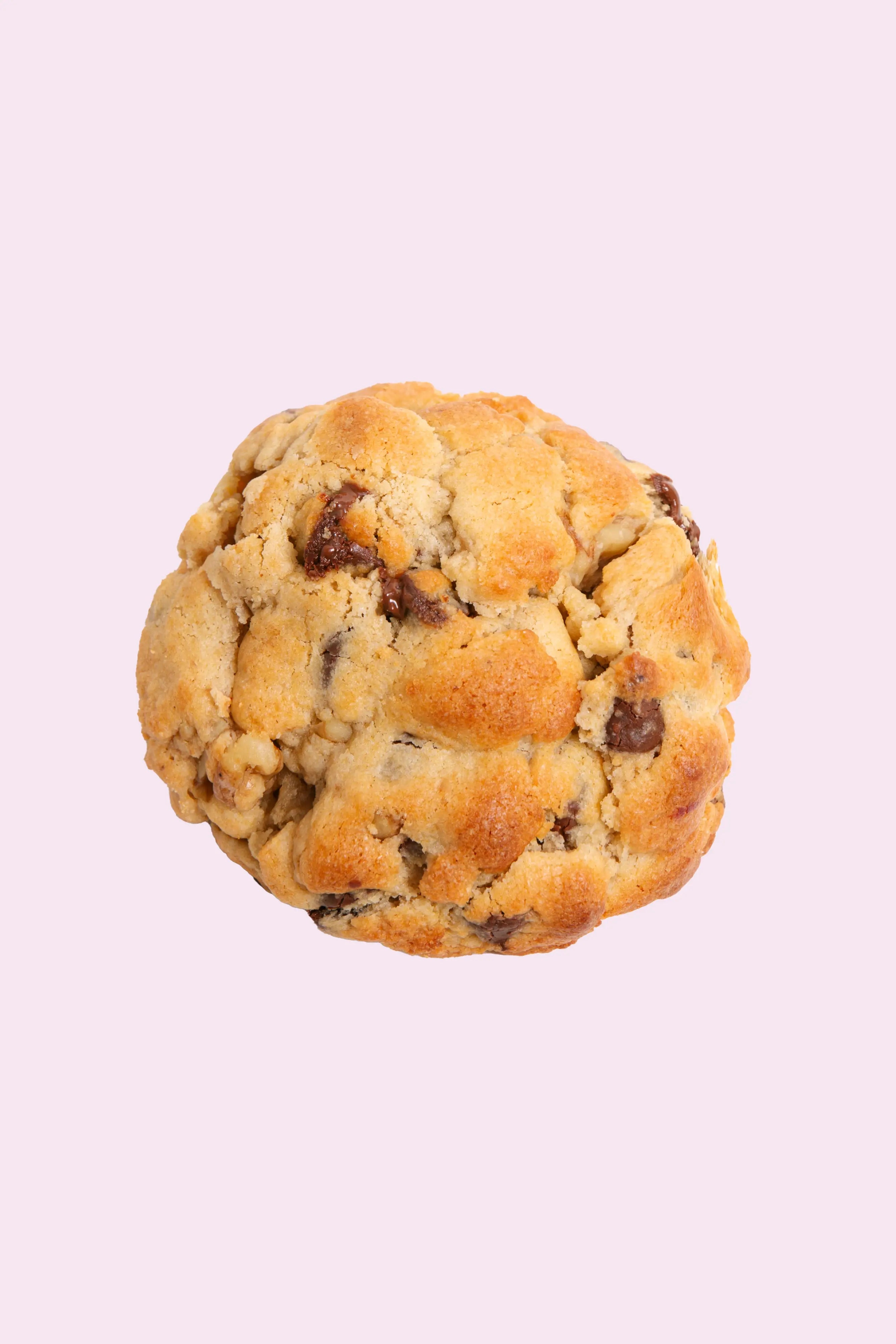 Chocolate Chip Cookie Box